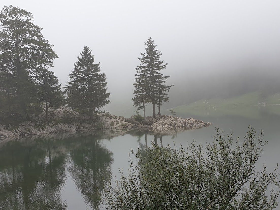 Morgenstimmung am Seealpsee im Alpstein