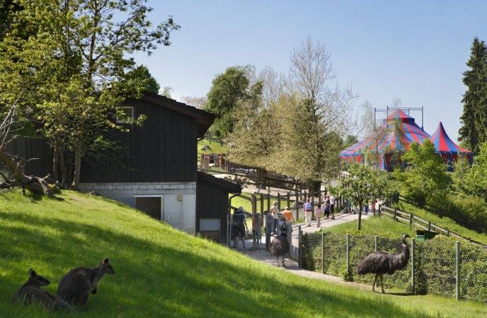 Im Walter Zoo Gossau