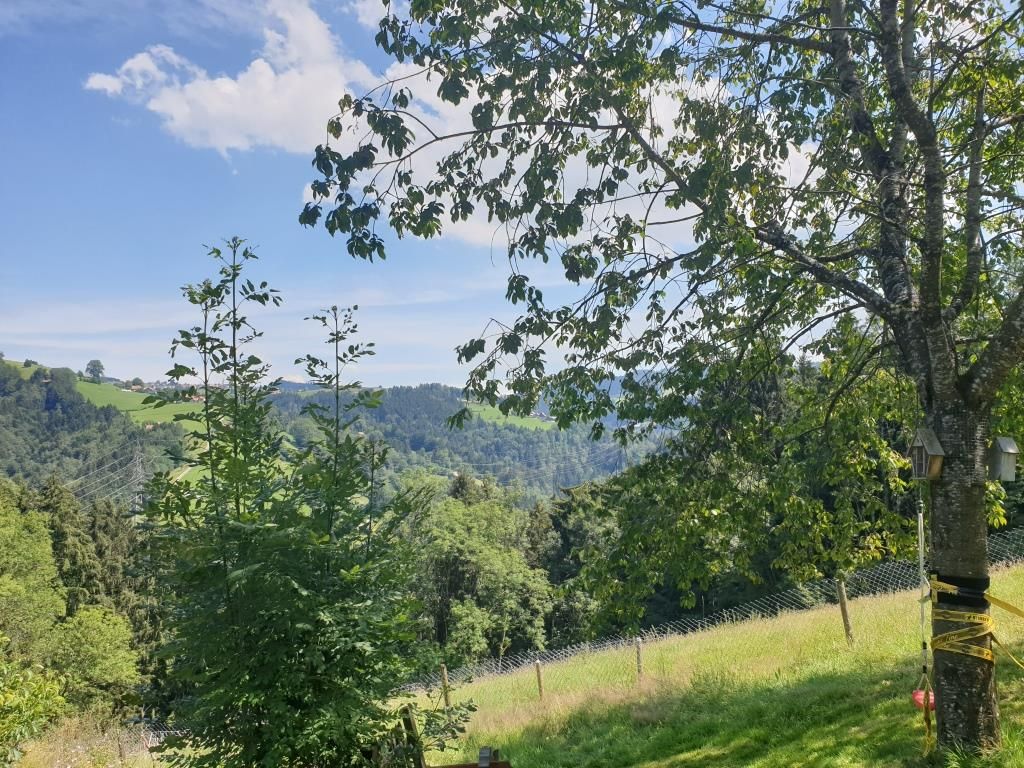 Appenzellerland mit Blick Richtung Säntis und Alpstein